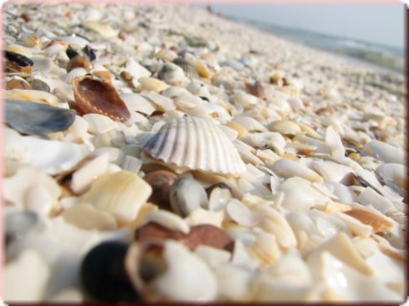 Oferta LITORALUL PENTRU TOTI - ALL INCLUSIVE